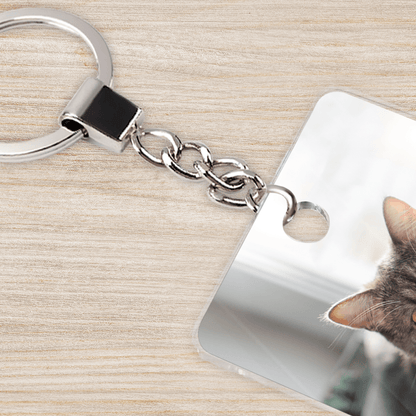 für Katzenliebhaber, Adamell.de