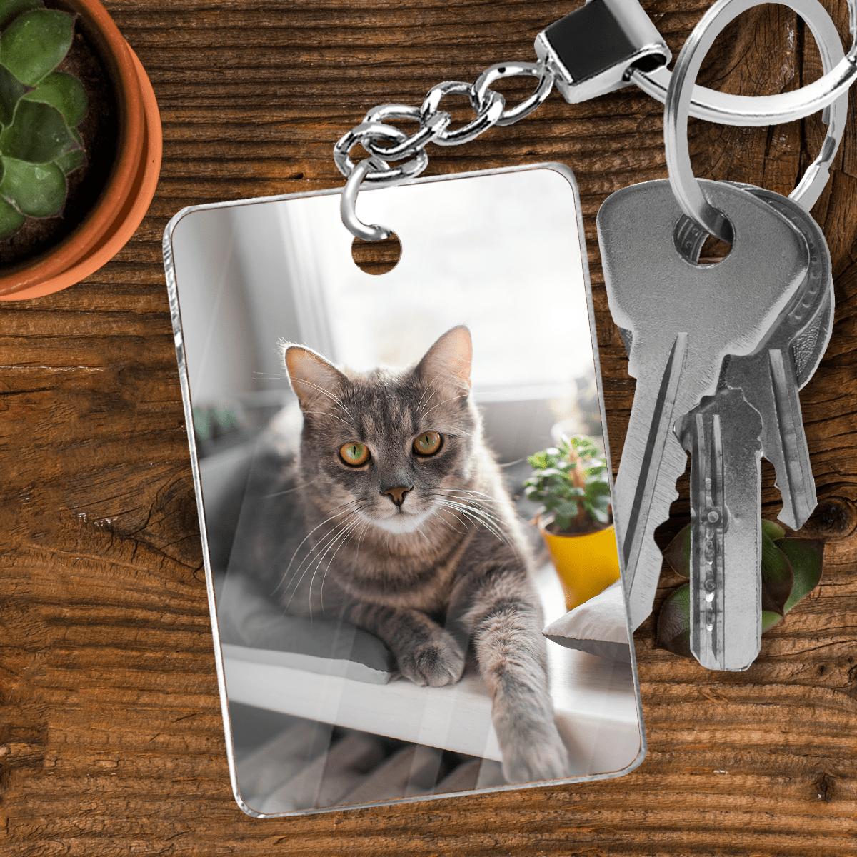 für Katzenliebhaber, Adamell.de