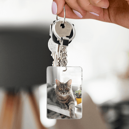 für Katzenliebhaber, Adamell.de