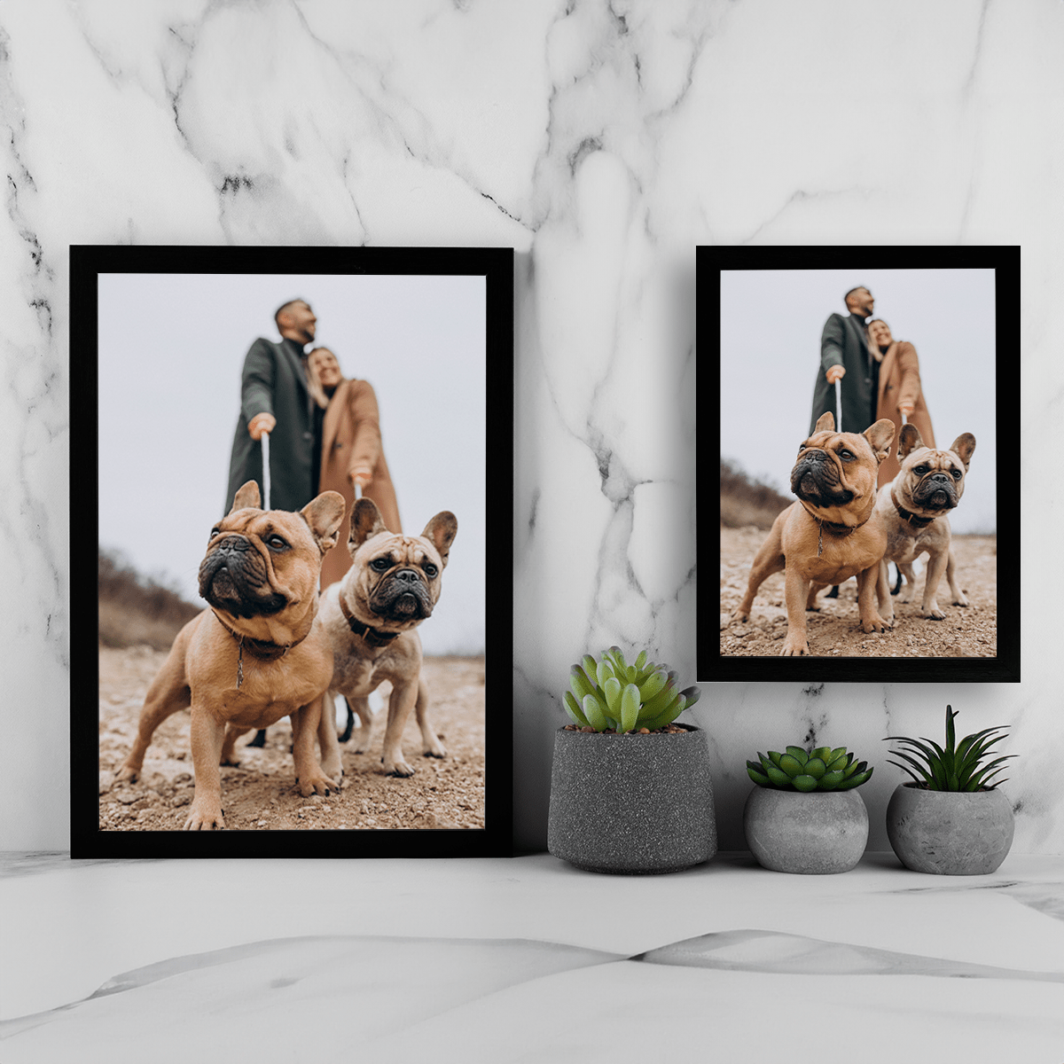 für Hundeliebhaber, Adamell.de