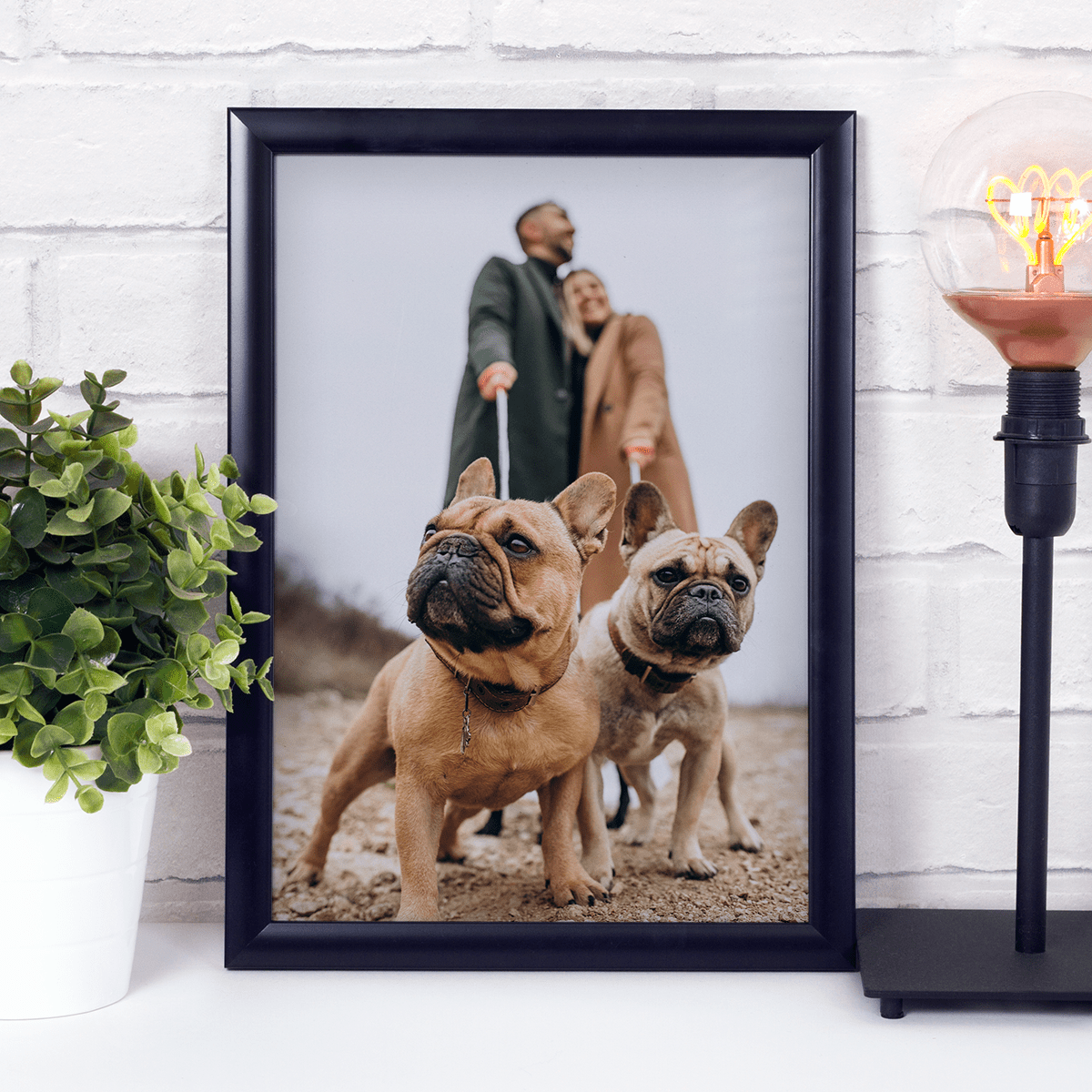 für Hundeliebhaber, Adamell.de