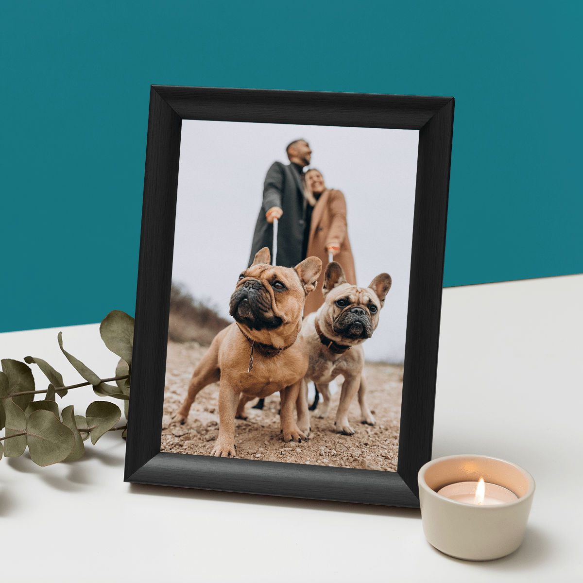 für Hundeliebhaber, Adamell.de