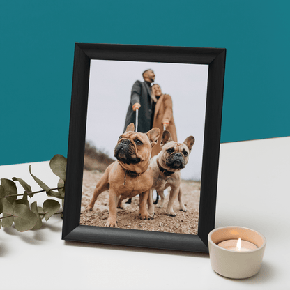 für Hundeliebhaber, Adamell.de