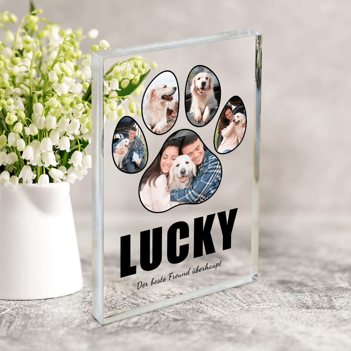 für Hundeliebhaber, Adamell.de