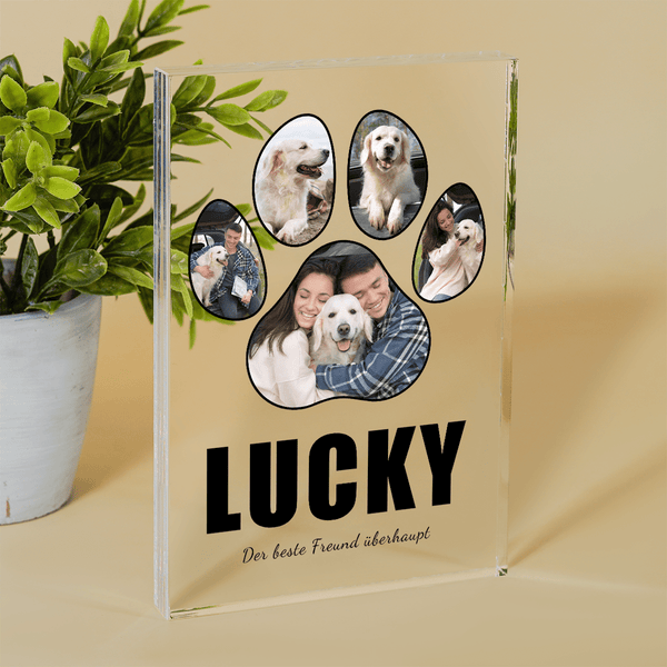 Hundepfoten-Collage - Druck auf Glas, personalisiertes Geschenk - Adamell.de
