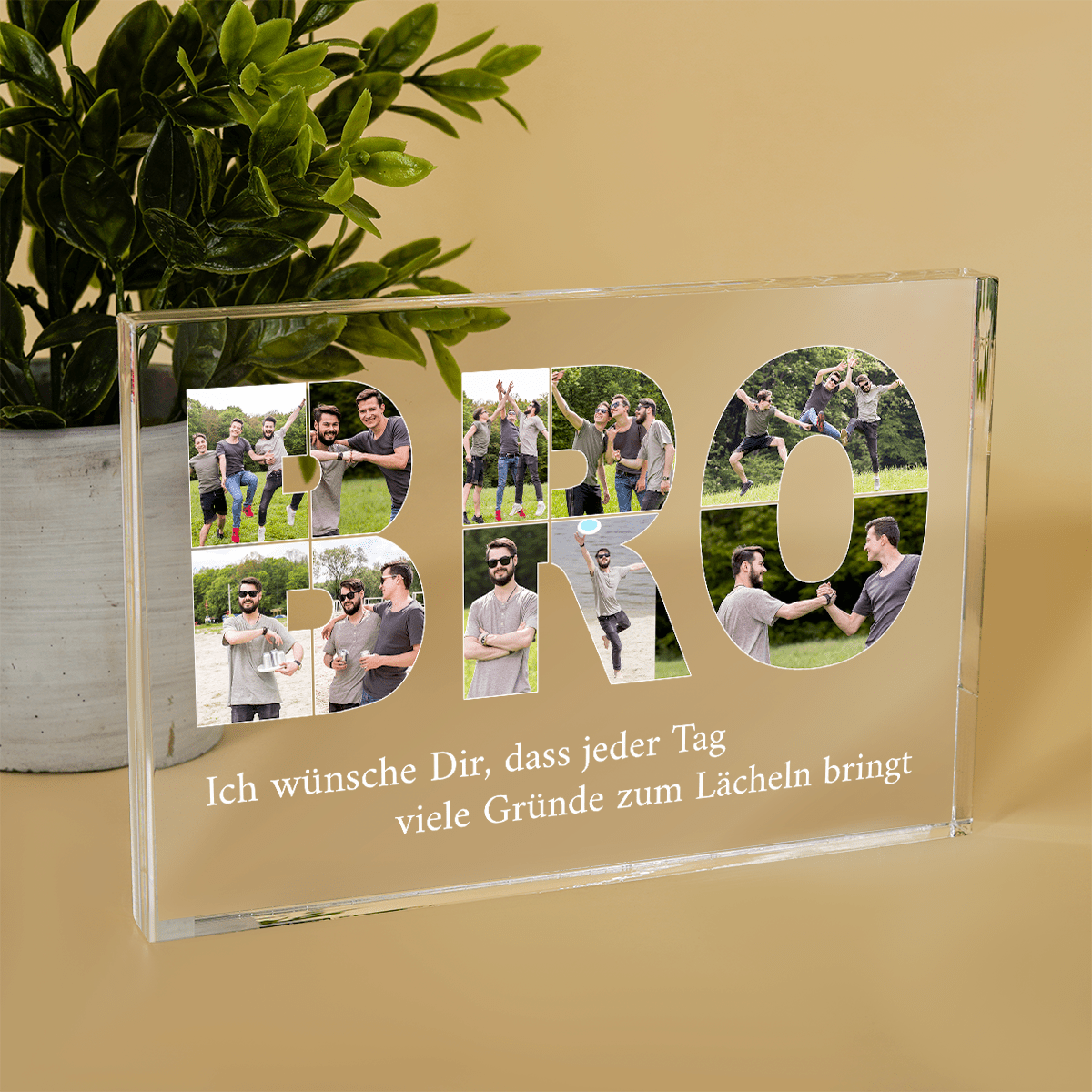 für Bruder, Adamell.de