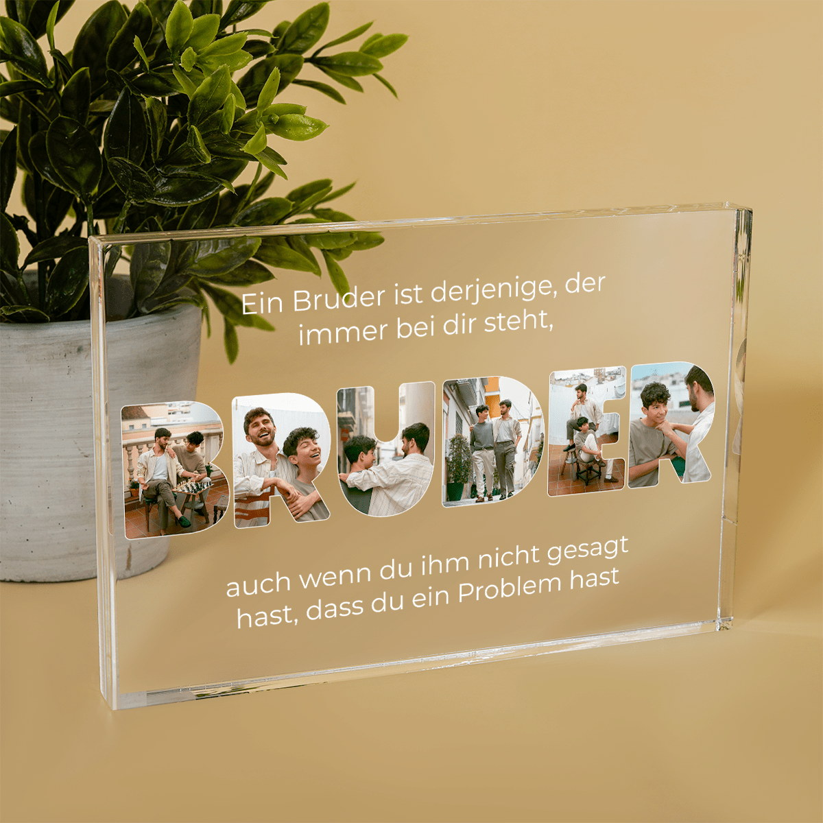 für Bruder, Adamell.de