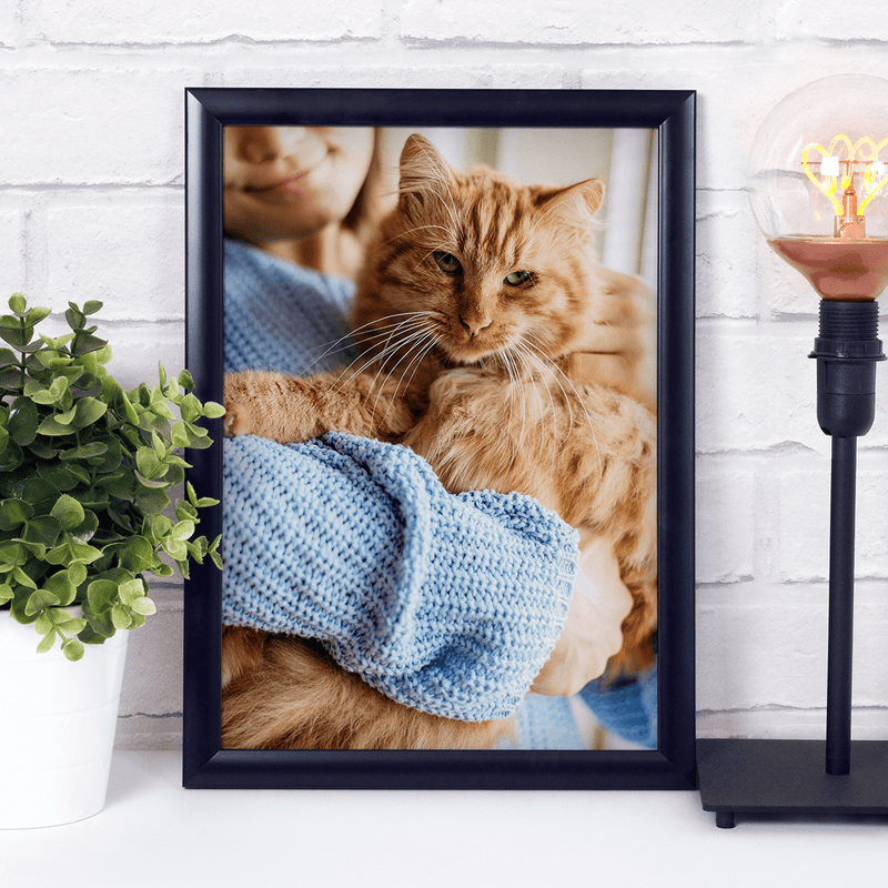 Katze - Druck auf Glas, personalisiertes Geschenk - Adamell.de