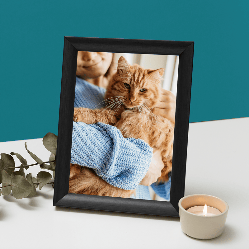 Katze - Druck auf Glas, personalisiertes Geschenk - Adamell.de