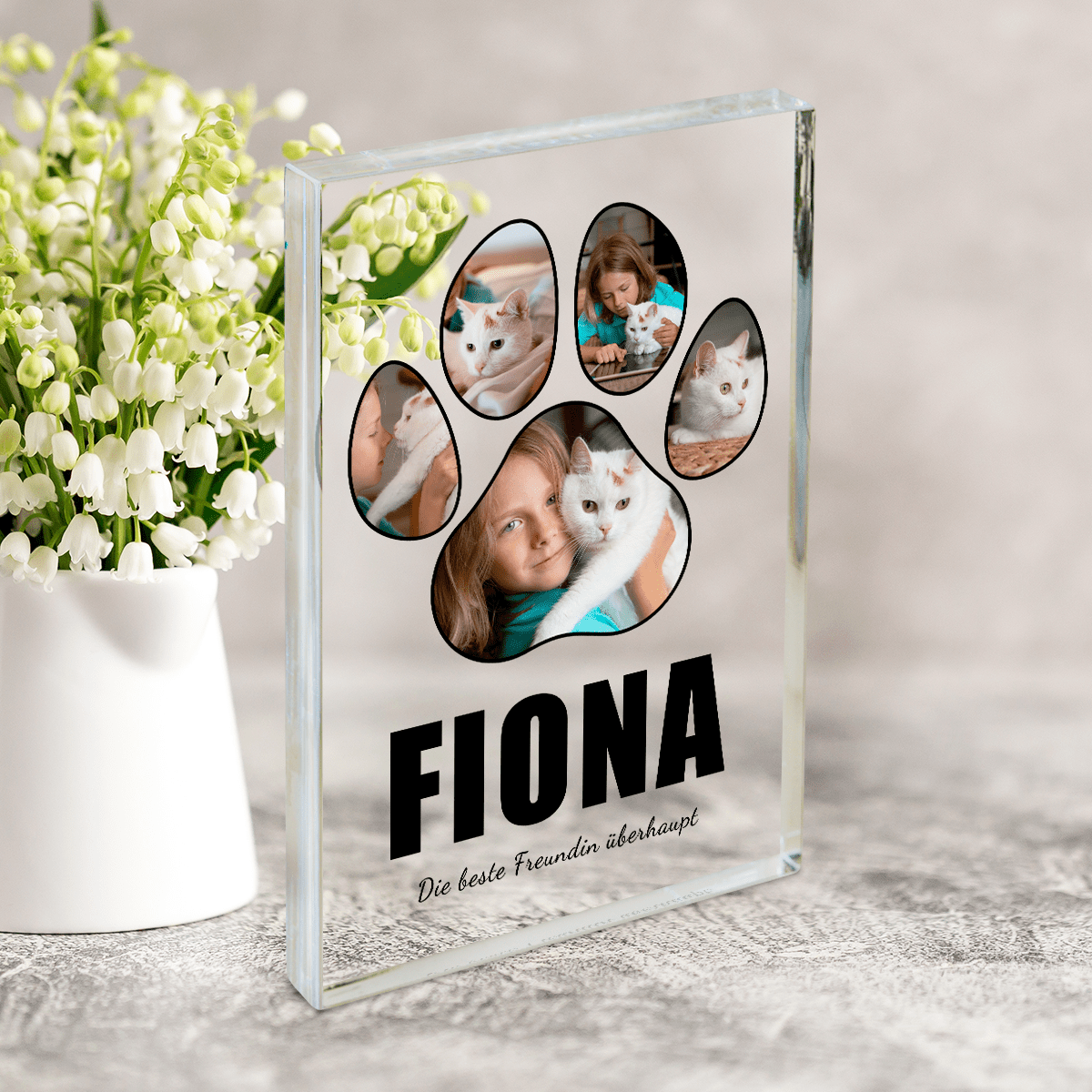 für Katzenliebhaber, Adamell.de