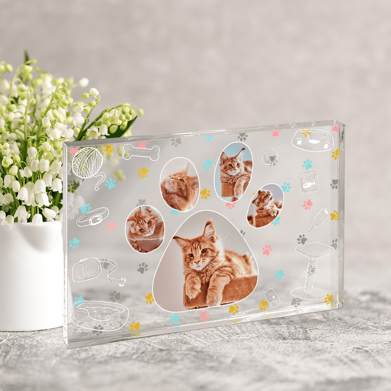 Katzenpfoten-Collage - Druck auf Glas, personalisiertes Geschenk - Adamell.de