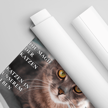für Katzenliebhaber, Adamell.de