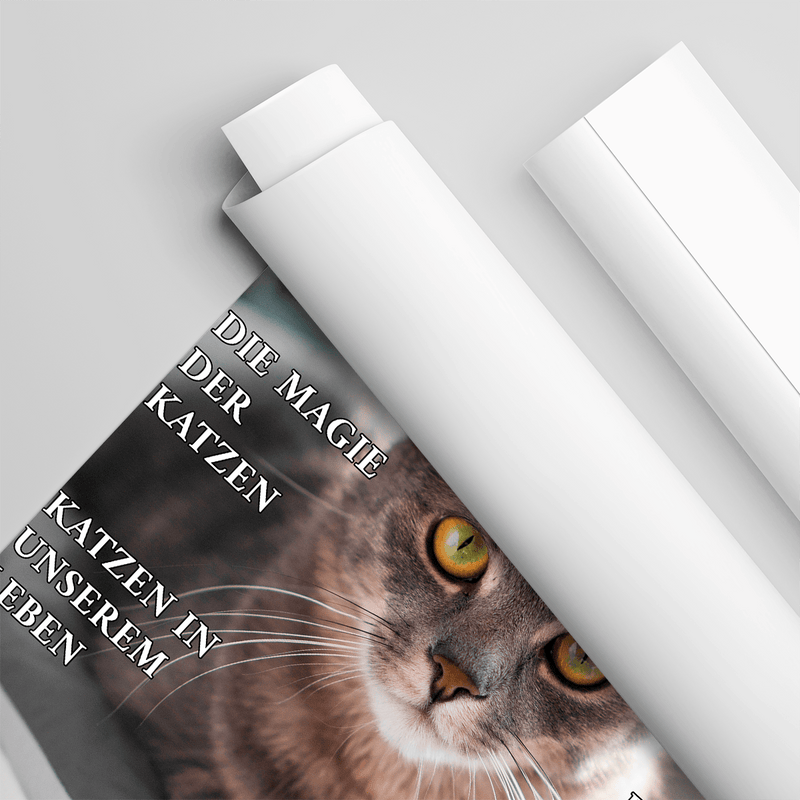 Katzepolitan - Poster, personalisiertes Geschenk für Katzenbesitzer - Adamell.de