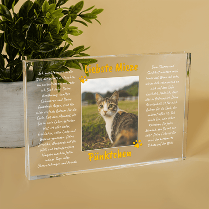 für Katzenliebhaber, Adamell.de