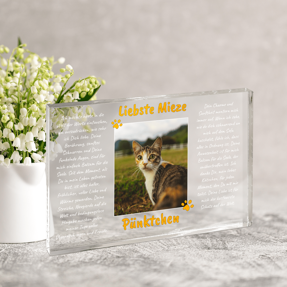 für Katzenliebhaber, Adamell.de