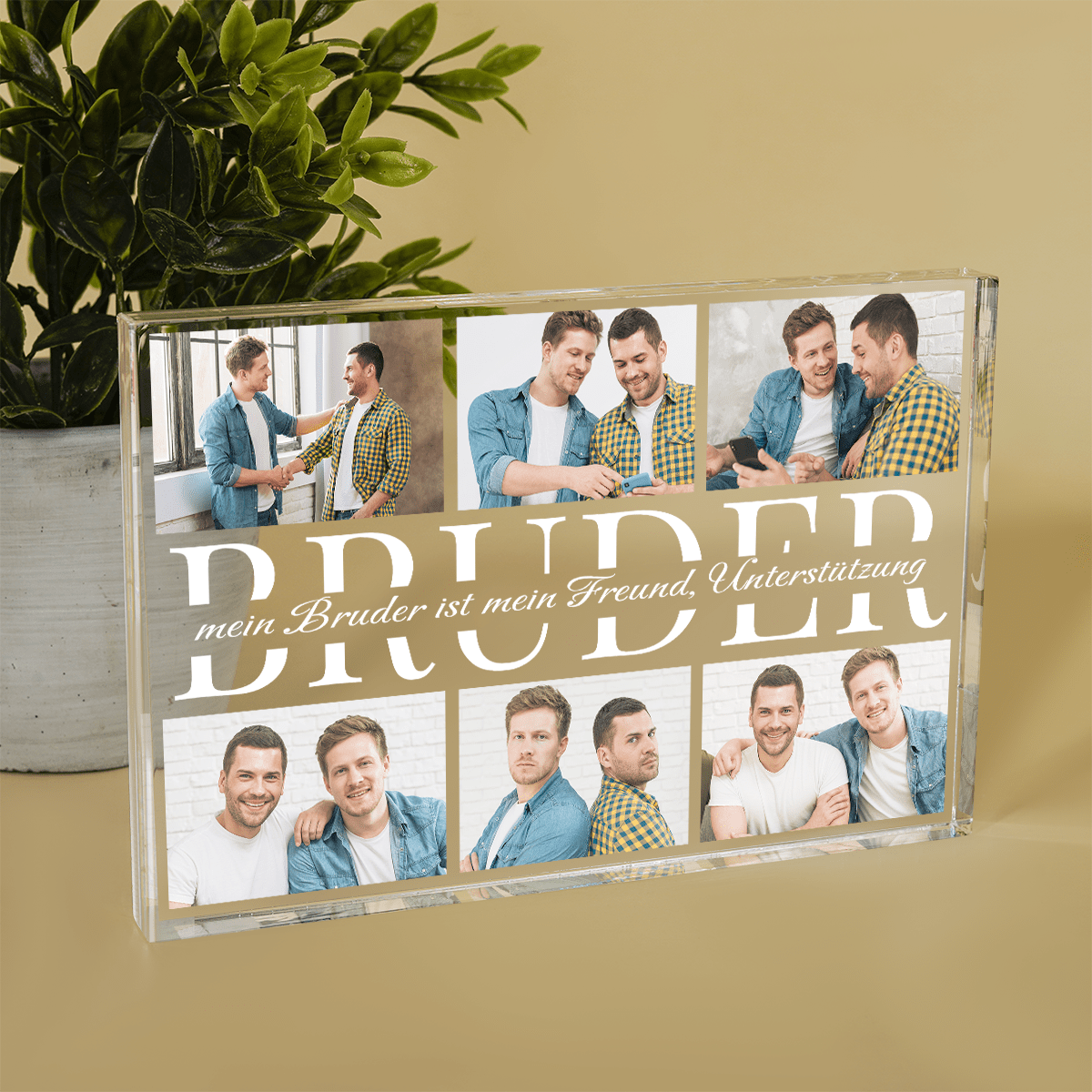 für Bruder, Adamell.de