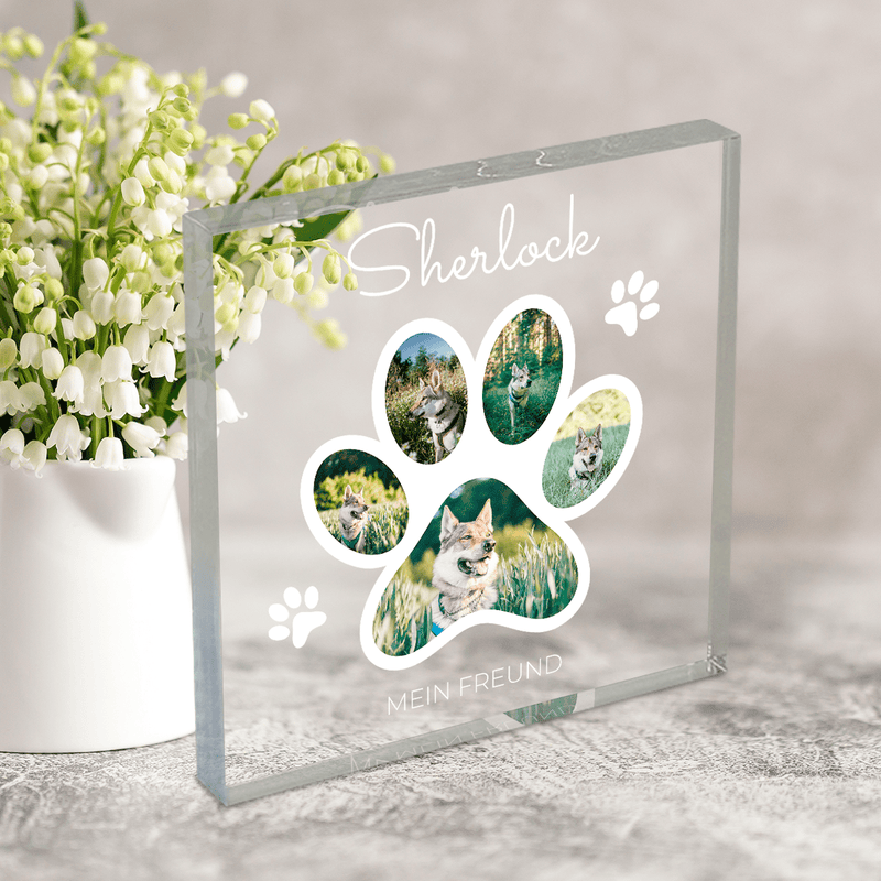 Mein Hundefreund - Druck auf quadratischem Glas, personalisiertes Geschenk für Hundebesitzer - Adamell.de