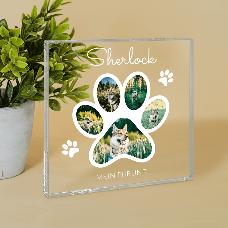 Mein Hundefreund - Druck auf quadratischem Glas, personalisiertes Geschenk für Hundebesitzer - Adamell.de