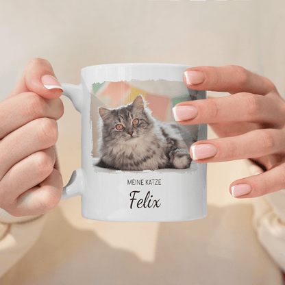 für Katzenliebhaber, Adamell.de
