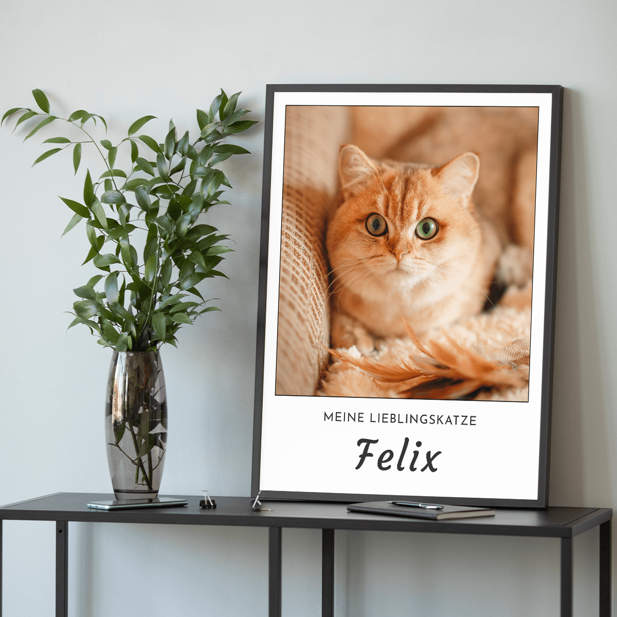 für Katzenliebhaber, Adamell.de