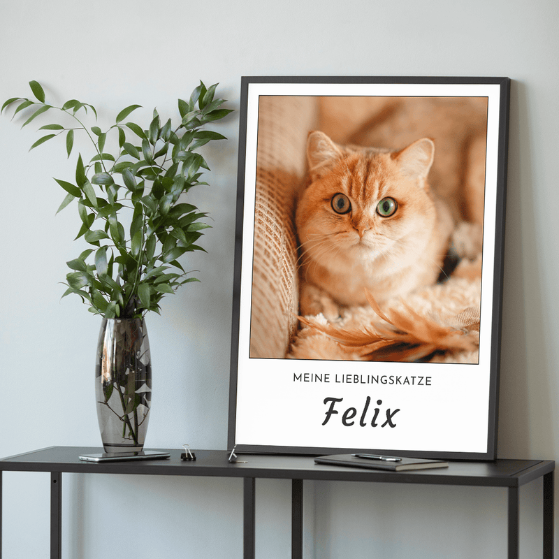 Mein Kätzchen - Poster, personalisiertes Geschenk für Katzenbesitzer - Adamell.de