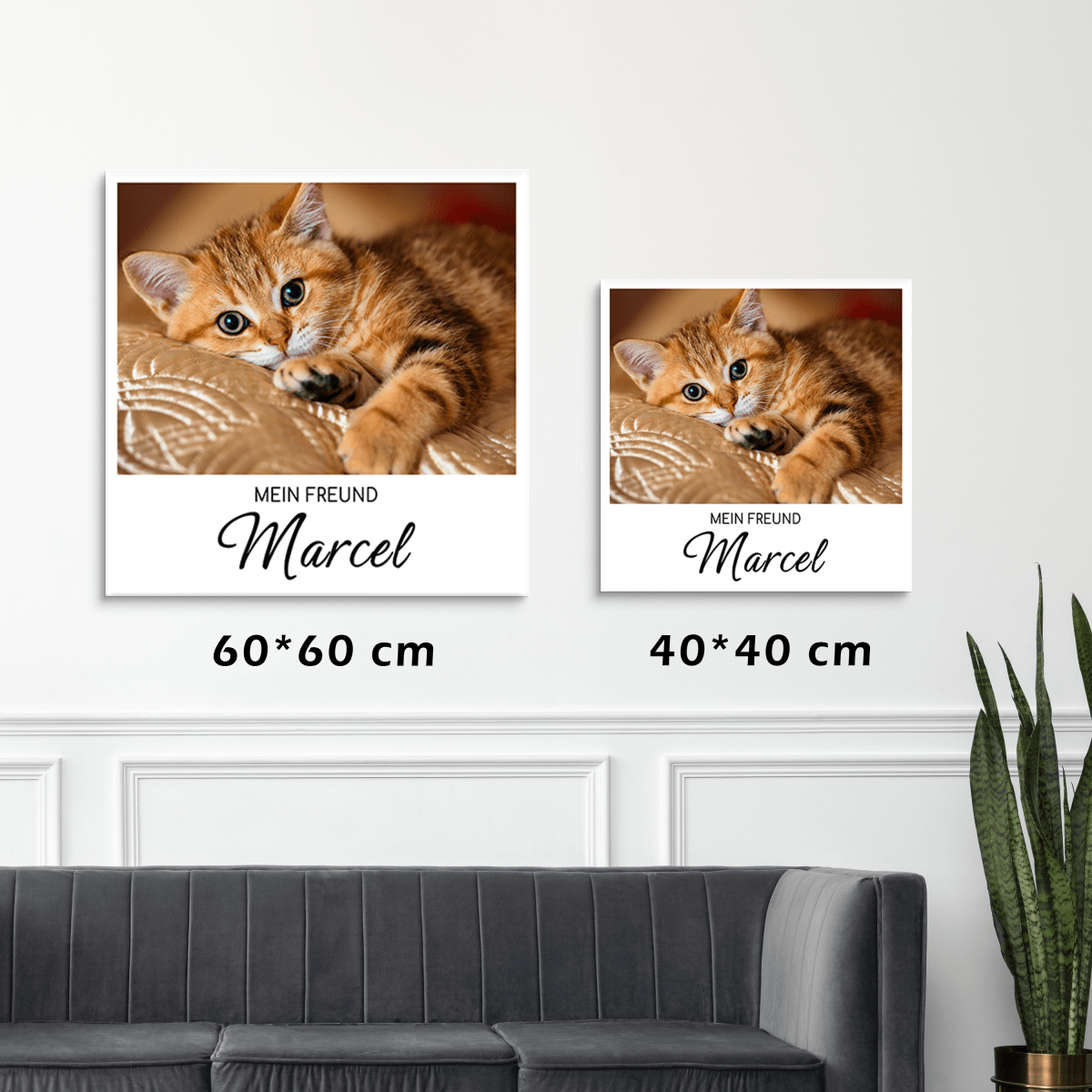 für Katzenliebhaber, Adamell.de