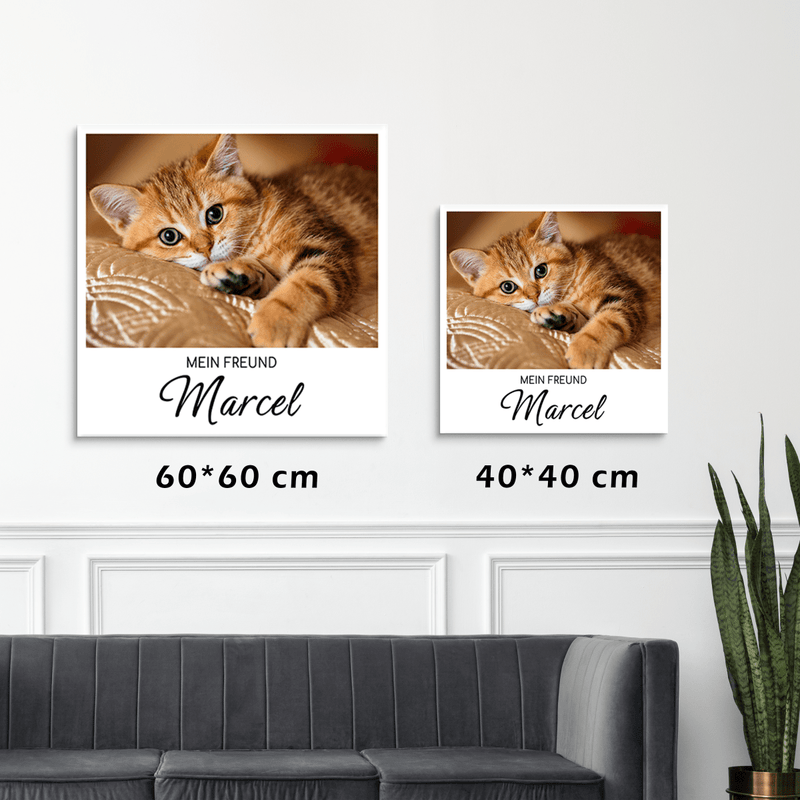 Mein Katzenfreund - Druck auf Leinwand, personalisiertes Geschenk - Adamell.de