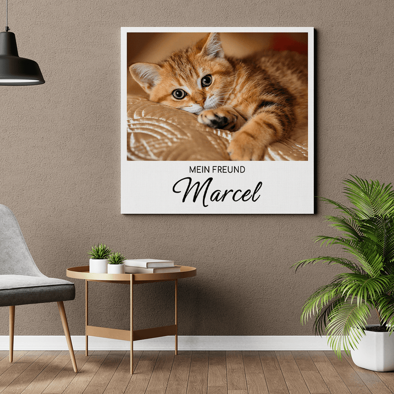 Mein Katzenfreund - Druck auf Leinwand, personalisiertes Geschenk - Adamell.de