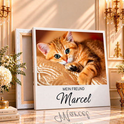 Fotocollage auf Leinwand Mein Freund — Geschenk für Katzenliebhaber