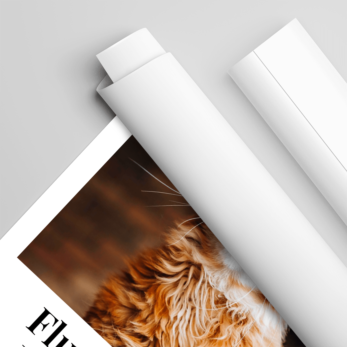 für Katzenliebhaber, Adamell.de