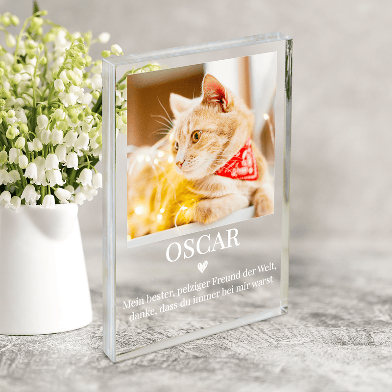 Mein pelziger Freund - Druck auf Glas, personalisiertes Geschenk für Katzeliebhaber - Adamell.de