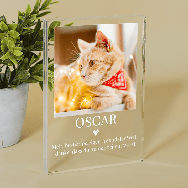 Mein pelziger Freund - Druck auf Glas, personalisiertes Geschenk für Katzeliebhaber - Adamell.de