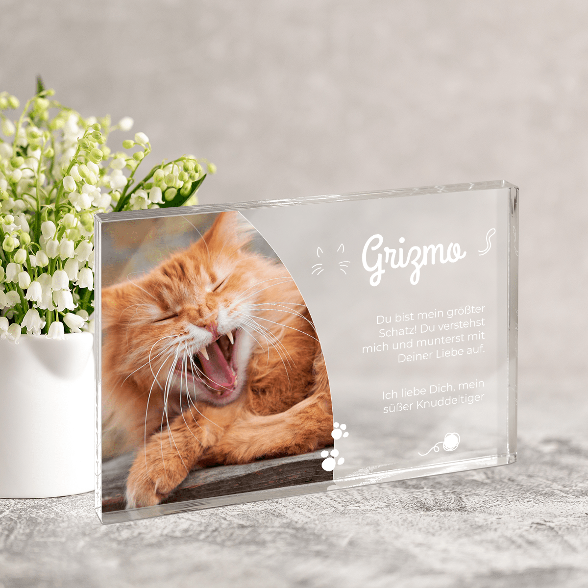 für Katzenliebhaber, Adamell.de