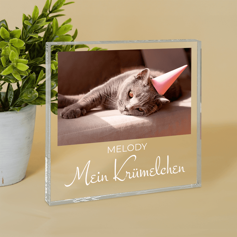 Meine liebe Katze - Druck auf quadratischem Glas, personalisiertes Geschenk für Katzenbesitzer - Adamell.de