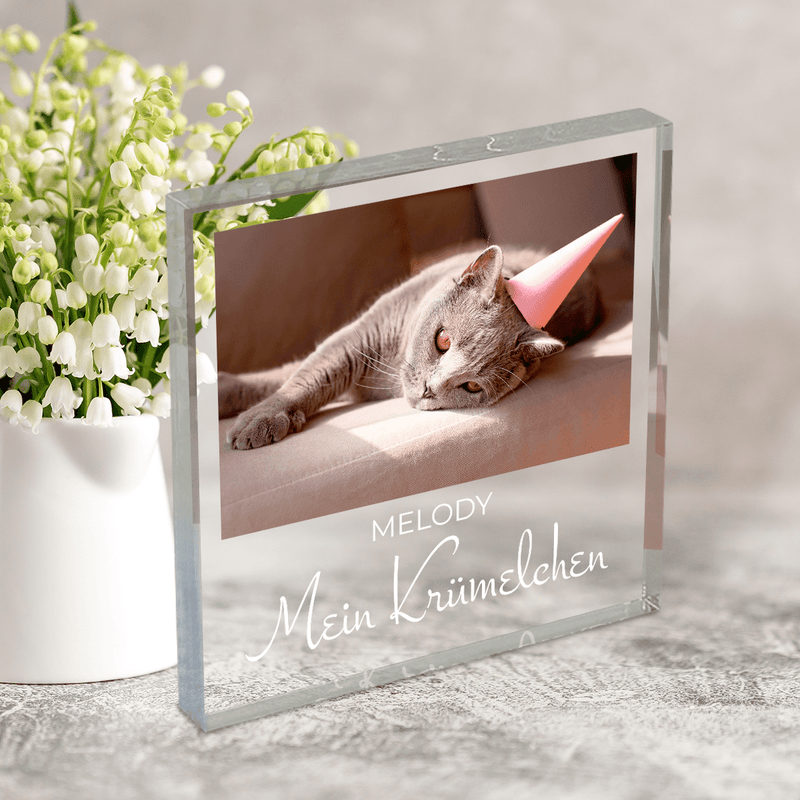 Meine liebe Katze - Druck auf quadratischem Glas, personalisiertes Geschenk für Katzenbesitzer - Adamell.de