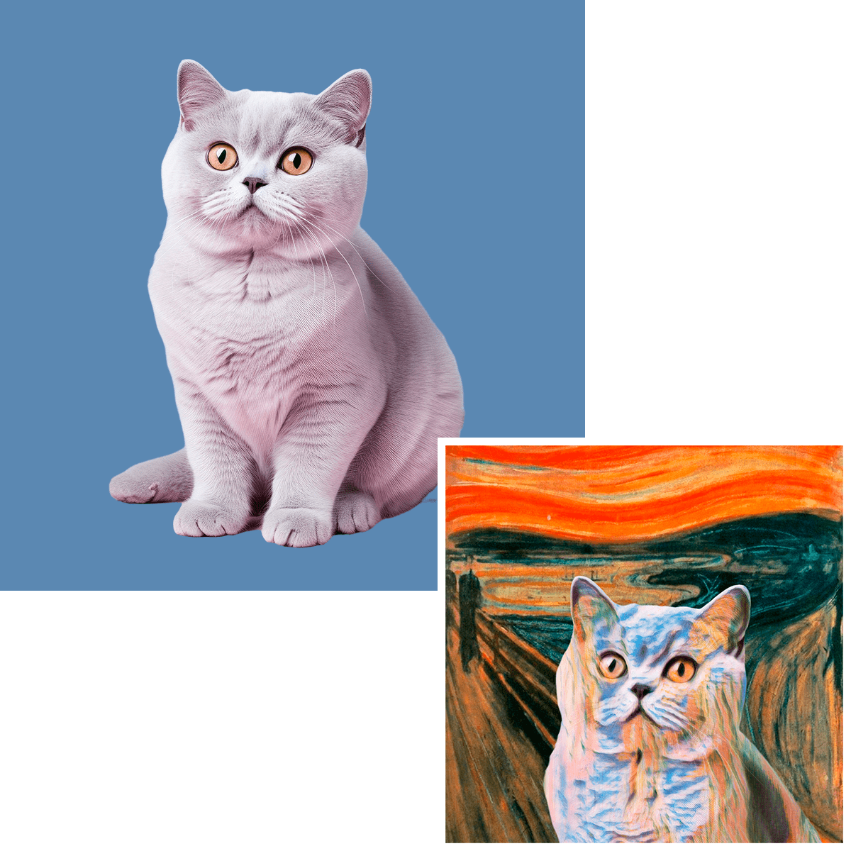 für Katzenliebhaber, Adamell.de