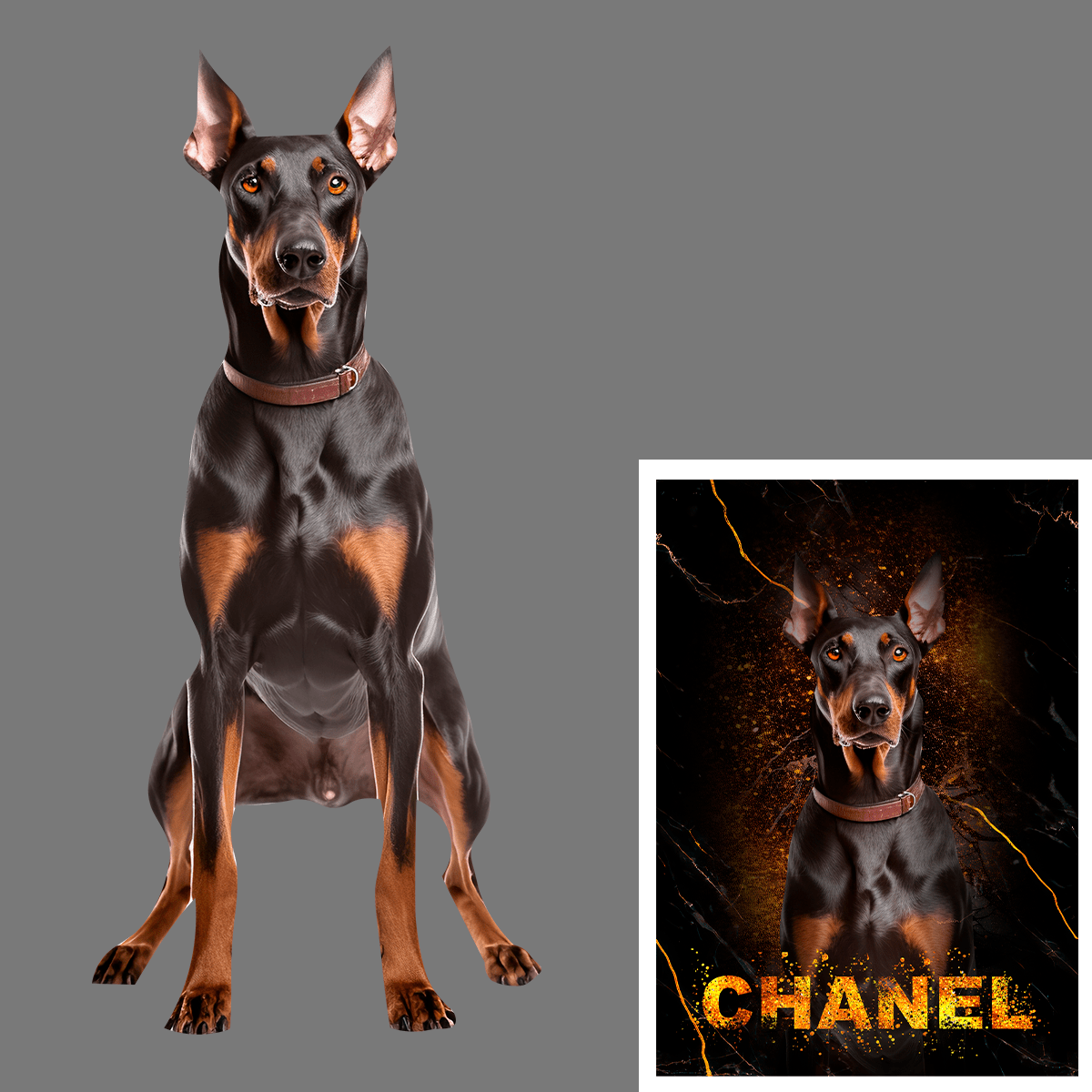 für Hundeliebhaber, Adamell.de