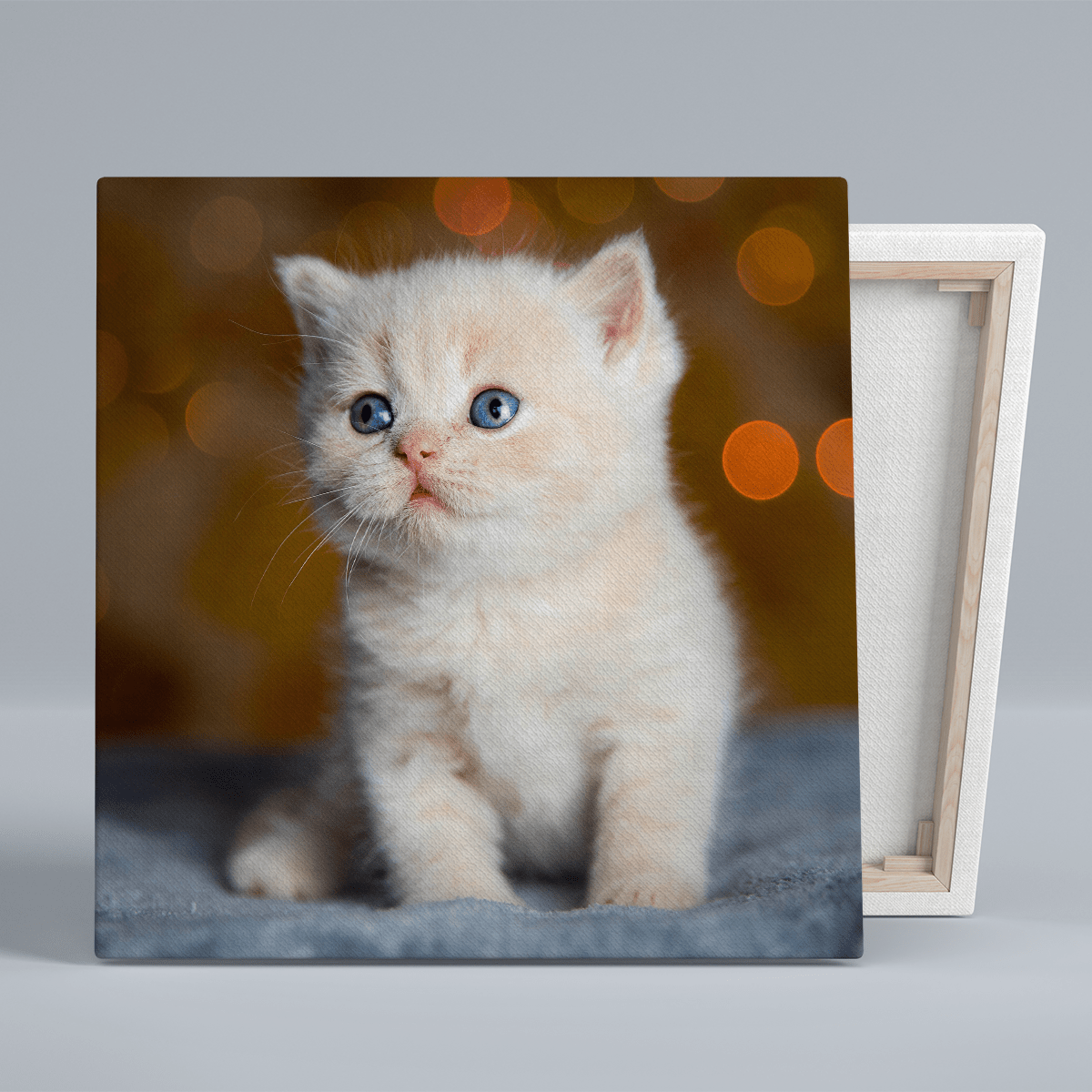für Katzenliebhaber, Adamell.de