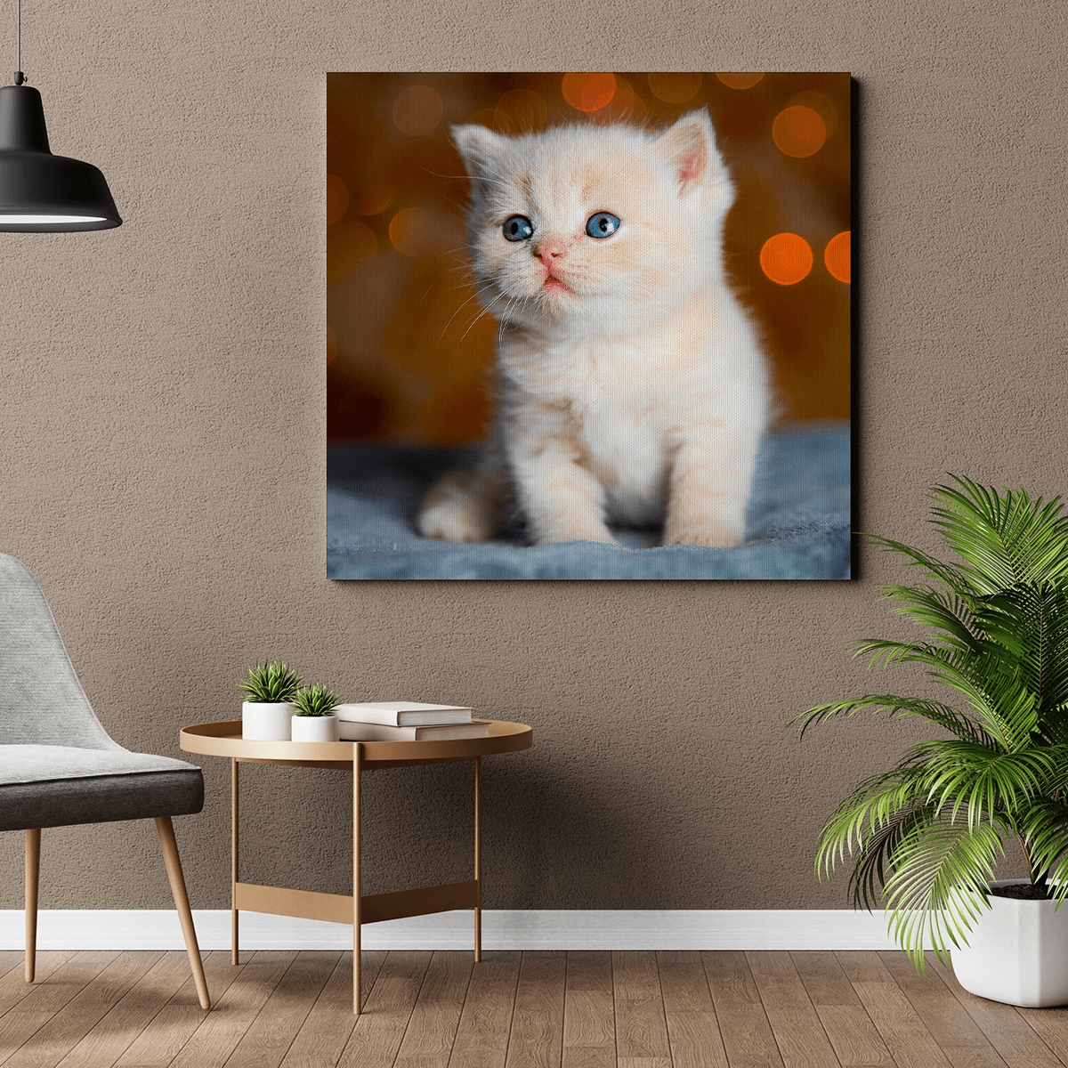 für Katzenliebhaber, Adamell.de