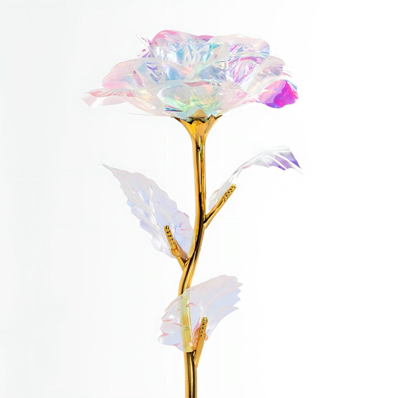 Regenbogen LED ewige Rose mit persönlichem Aufdruck FÜR LEHLERIN - Adamell.de