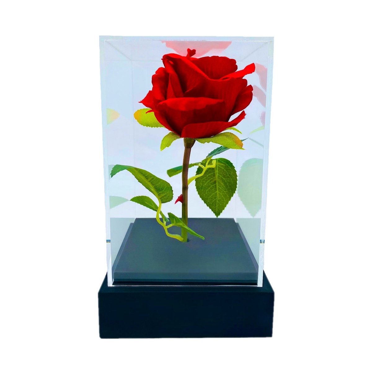ewige rose, Adamell.de
