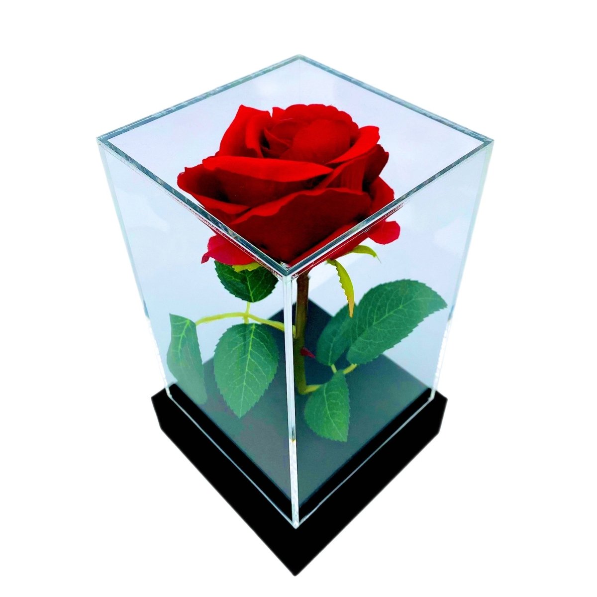 ewige rose, Adamell.de