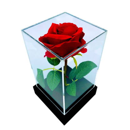 ewige rose, Adamell.de