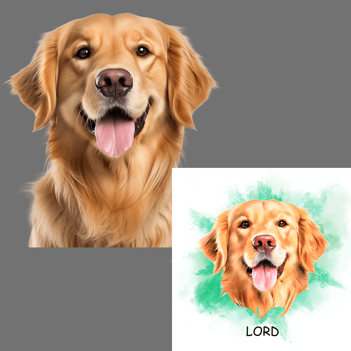 für Hundeliebhaber, Adamell.de