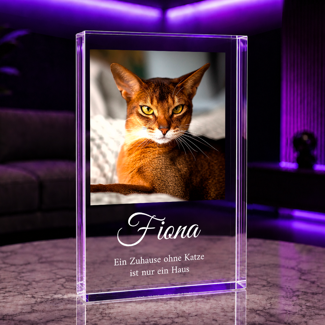 Ein Zuhause ohne Katze - Druck auf Glas, personalisiertes Geschenk für Katzenmenschen