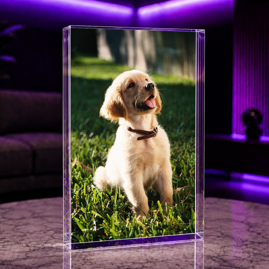 Foto des geliebten Hundes - Druck auf Glas, personalisiertes Geschenk