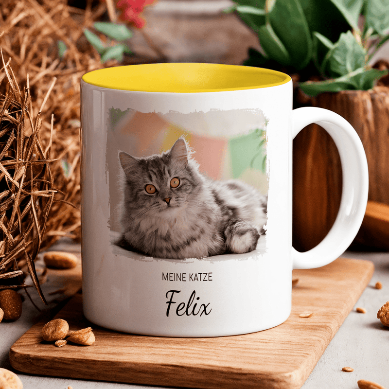 Tasse + bedrucktes Kissen KATZE - Geschenkset Box 2 in 1, personalisiertes Geschenk für Katzenliebhaber - Adamell.de