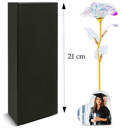 zum Jahresende, Adamell.de