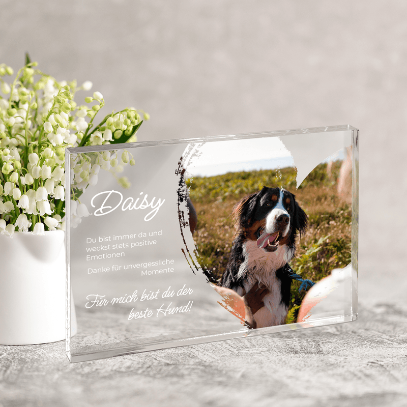 Unvergesslicher Hund - Druck auf Glas, personalisiertes Geschenk für Hundeliebhaber - Adamell.de