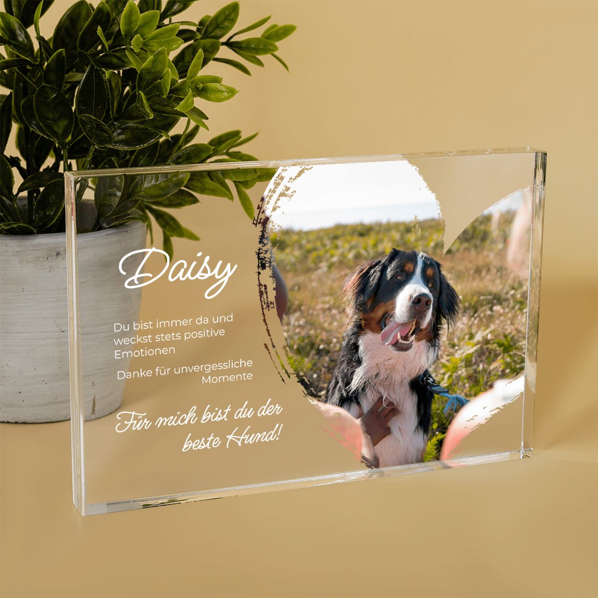 für Hundeliebhaber, Adamell.de